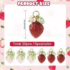 30Pcs 2 Colors Handmade Lampwork & Acrylic & Resin Pendants&nbsp;PALLOY-YW00125