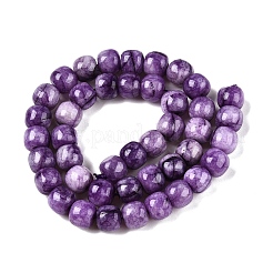 Dyed Natural White Jade Beads Strands&nbsp;G-T138-S13