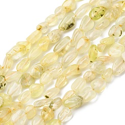 Natural Gold Prehnite Beads Strands&nbsp;G-K395-A07-01