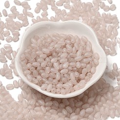 Transparent Colours Glass Seed Beads&nbsp;X-SEED-F006-03A-06