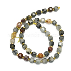 Natura Eagle Eye Stone Beads Strands&nbsp;G-I376-D49-01