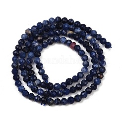 Natural Sodalite Beads Strands&nbsp;LS-G-RM2025425-A04-A
