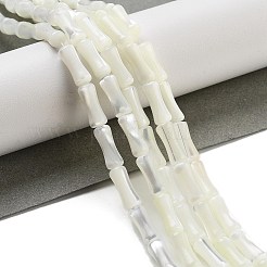 Natural Trochid Shell/Trochus Shell Beads Strands&nbsp;BSHE-G038-03