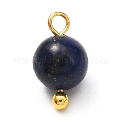 Natural Mixed Gemstone Charms&nbsp;X-PALLOY-JF00992-01