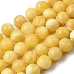 Natural Yellow Jade Beadd Strands&nbsp;X-G-A274-A01-14mm