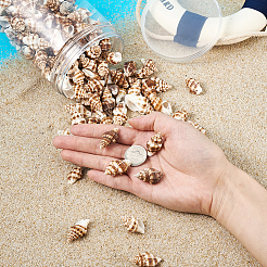 Spiral Shell Pendants&nbsp;SSHEL-TA0001-02