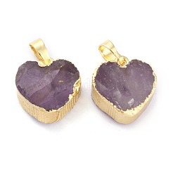 Natural Amethyst Pendants&nbsp;G-B012-13G-01