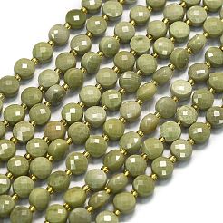 Natural Alashan Agate Beads Strands&nbsp;G-K389-B68-01