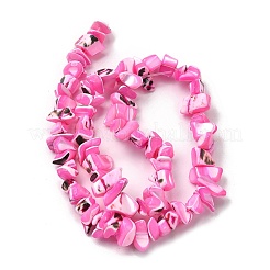 Natural Trochid Shell/Trochus Shell Beads Strands&nbsp;SHEL-B003-02E