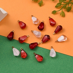 15Pcs 3 Colors Resin Pendants&nbsp;RESI-CJ0001-129