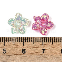 Acrylic Bead Caps&nbsp;MACR-L008-05
