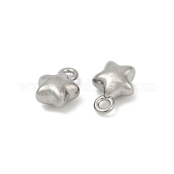 304 Stainless Steel Charms&nbsp;X-STAS-E500-04P