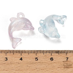 Luminous Translucent Acrylic Pendants&nbsp;AC-CBA5040-07