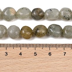 Natural Labradorite Beads Strands&nbsp;GG-CBA787B-A36