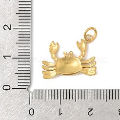 304 Stainless Steel Pendants&nbsp;STAS-V013-02D-G