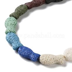 Fish Dyed Natural Lava Rock Beads Strands&nbsp;G-O126-01A-14
