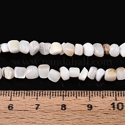 Natural Freshwater Shell Beads Strands&nbsp;SHEL-N037-04K