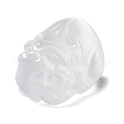 Natural Selenite Ornaments Figurine&nbsp;DJEW-B010-01