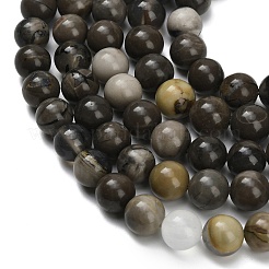 Natural Volcanic Agate Beads Strands&nbsp;G-G305-A01-10mm