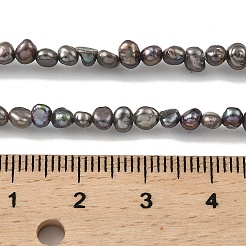 Dyed Natural Cultured Freshwater Pearl Beads Strands&nbsp;PEAR-A006-01B-X