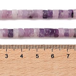 Natural Lepidolite/Purple Mica Stone Beads Strands&nbsp;G-M420-A19-01