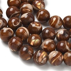Natural Trochus Shell Beads Strands&nbsp;SH-CBAFEDD-02C