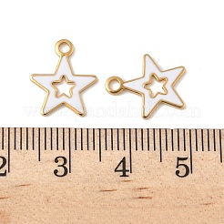 304 Stainless Steel Enamel Charms&nbsp;STAS-U057-13G-01