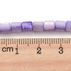 Natural Freshwater Shell Beads Strands&nbsp;SHEL-F008-04C