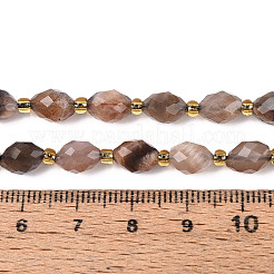 Natural Black Sunstone Beads Strands&nbsp;G-N342-53-8x6-08