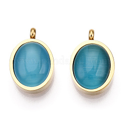 304 Stainless Steel Pendants&nbsp;STAS-T064-15G