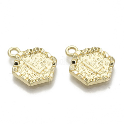 Alloy Pendants&nbsp;PALLOY-N157-003L-NR