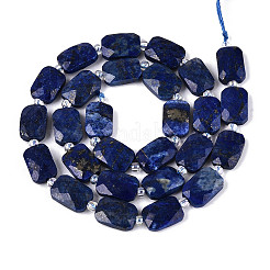 Natural Lapis Lazuli Beads Strands&nbsp;G-T139-68