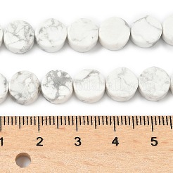 Natural Howlite Beads Strands&nbsp;G-M454-B02
