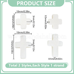 2 Strands 2 Styles Natural Freshwater Shell Beads&nbsp;SHEL-GO0001-12