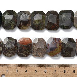 Natural Wealth Stone Beads Strands&nbsp;G-C285-A09-01