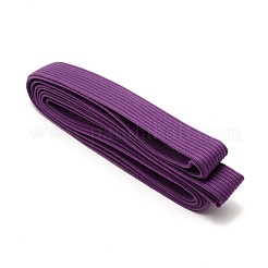 Polyester Ribbons&nbsp;SRIB-WH0011-006E