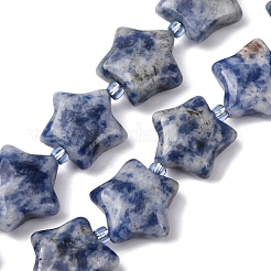 Natural Blue Spot Jasper Beads Strands&nbsp;G-K359-E11