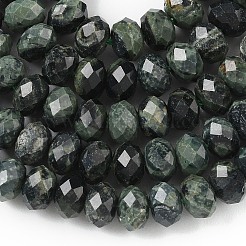 Natural Kambaba Jasper Bead Strands&nbsp;G-D344-A06