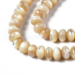 Natural Trochid Shell/Trochus Shell Beads Strands&nbsp;SSHEL-S266-017B