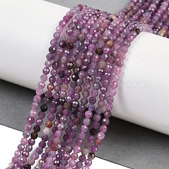 Natural Ruby Beads Strands&nbsp;G-H081-B01-01