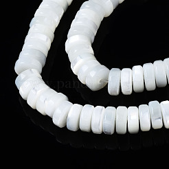 Natural Trochid Shell/Trochus Shell Beads Strands&nbsp;SSHEL-S266-019A-02