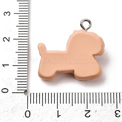 Opaque Resin Pendants&nbsp;LS-RE-CBA5B90-04D