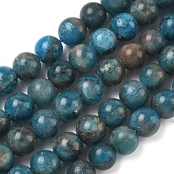 Natural Apatite Beads Strands&nbsp;G-F816-A01-01B