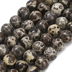 Natural Astroite Jasper Beads Strands&nbsp;G-F814-A01-10mm