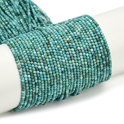 Natural HuBei Turquoise Beads Strands&nbsp;G-C181-A01-01