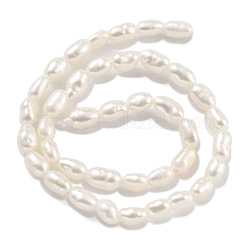 Natural Cultured Freshwater Pearl Beads Strands&nbsp;PEAR-P062-01D-X