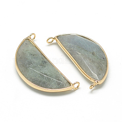 Natural Labradorite Pendants&nbsp;X-G-Q971-10