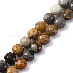 Natural Ocean Jasper Beads Strands&nbsp;G-C179-A09-03