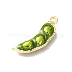 Alloy Enamel Pendants&nbsp;AL-CBA24A7-01G-02