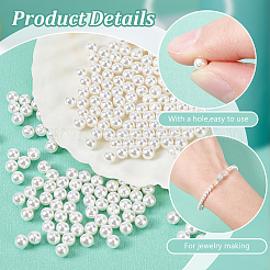 2 Strands Natural White Shell Beads Strands&nbsp;SHEL-GA0001-19B